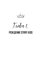 Stray Kids. Биография — изображение 4