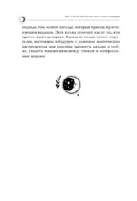 Таро Уэйта. Магические инструменты ведьмы. Тайна, доступная знающим — изображение 10