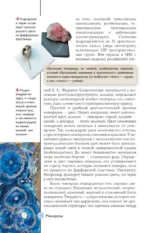 Нефть, металлы и другие сокровища Земли. Полезные ископаемые — изображение 15