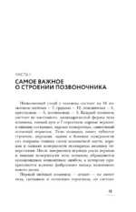 Соло для позвоночника. Упражнения для поддержания мышц и суставов — изображение 15