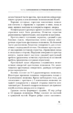 Соло для позвоночника. Упражнения для поддержания мышц и суставов — изображение 17