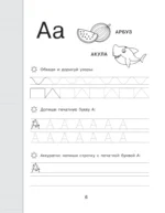 Новые большие прописи для подготовки к школе. Русский язык — изображение 9