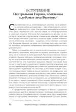 История центральной Европы. Срединные королевства — изображение 10