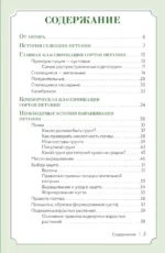 Петуния. Цветок с характером. Шпаргалка-трекер по выращиванию цветочных водопадов — изображение 2
