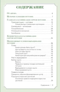 Петуния. Цветок с характером. Шпаргалка-трекер по выращиванию цветочных водопадов — Сад и огород, ландшафтный дизайн