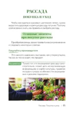 Петуния. Цветок с характером. Шпаргалка-трекер по выращиванию цветочных водопадов — изображение 11