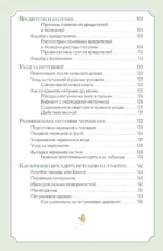 Петуния. Цветок с характером. Шпаргалка-трекер по выращиванию цветочных водопадов — изображение 4