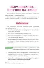 Петуния. Цветок с характером. Шпаргалка-трекер по выращиванию цветочных водопадов — изображение 10