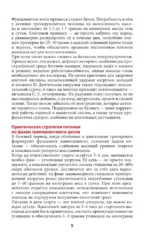 28 дней до марафона. Рецепты на каждый день подготовки — изображение 6