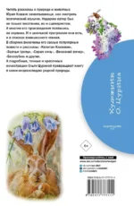 Жеребенок — изображение 3