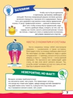 Большая книга дошкольника с дополненной реальностью — изображение 8