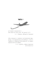 Скайджекинг — изображение 8