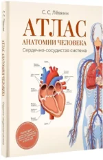 Атлас анатомии человека. Сердечно-сосудистая система — изображение 2