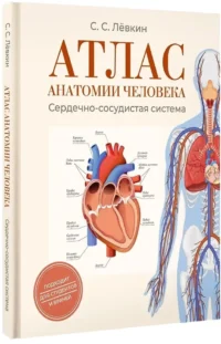 Атлас анатомии человека. Сердечно-сосудистая система — Атласы анатомии, специальная литература