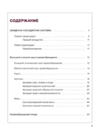Атлас анатомии человека. Сердечно-сосудистая система — изображение 6