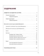Атлас анатомии человека. Сердечно-сосудистая система — изображение 4