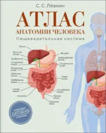 Атлас анатомии человека. Пищеварительная система. Сергей Лёвкин