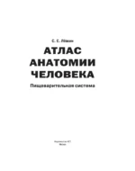 Атлас анатомии человека. Пищеварительная система — изображение 4