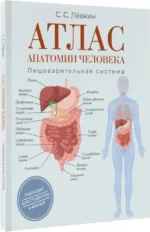 Атлас анатомии человека. Пищеварительная система — изображение 2