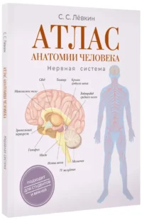 Атлас анатомии человека. Нервная система — Атласы анатомии, специальная литература