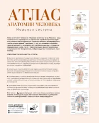 Атлас анатомии человека. Нервная система — Атласы анатомии, специальная литература