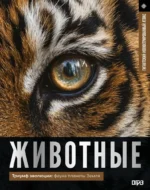 Животные. Иллюстрированный атлас. Дмитрий Медведев