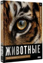 Животные. Иллюстрированный атлас — изображение 2