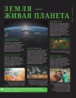 Животные. Иллюстрированный атлас — изображение 6