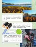 Окружающий мир. Растения и грибы — изображение 12