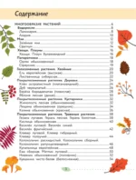 Окружающий мир. Растения и грибы — изображение 4