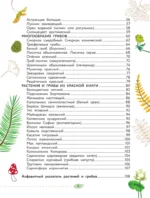Окружающий мир. Растения и грибы — изображение 5
