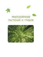 Окружающий мир. Растения и грибы — изображение 6