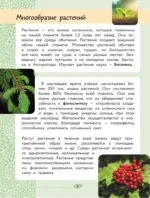 Окружающий мир. Растения и грибы — изображение 7