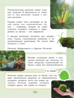 Окружающий мир. Растения и грибы — изображение 8