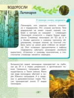 Окружающий мир. Растения и грибы — изображение 9