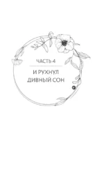 Стеклянная душа красавицы. Книга 3 — изображение 6