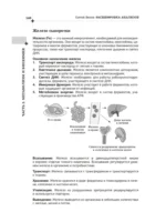 Расшифровка анализов. Лабораторная диагностика — изображение 9