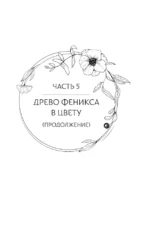 Стеклянная душа красавицы. Книга 4 — изображение 7