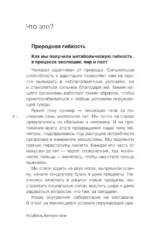 Перезагрузка метаболизма: как открыть секрет устойчивого похудения и энергии на весь день — изображение 5