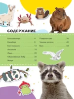 Капибара и другие мемные животные — изображение 5