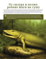 Динозавры. Иллюстрированный атлас — изображение 11