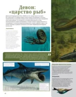 Динозавры. Иллюстрированный атлас — изображение 13