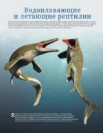 Динозавры. Иллюстрированный атлас — изображение 17