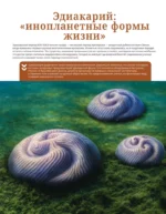 Динозавры. Иллюстрированный атлас — изображение 7