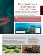 Динозавры. Иллюстрированный атлас — изображение 10