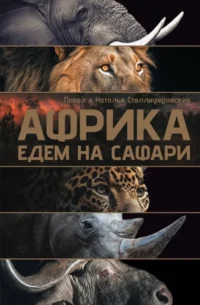 Африка. Едем на сафари. Наталья Стеллиферовская, Павел Стеллиферовский