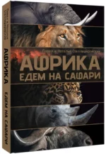 Африка. Едем на сафари — изображение 2