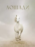 Лошади. Анна Спектор