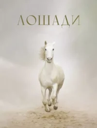 Лошади. Анна Спектор