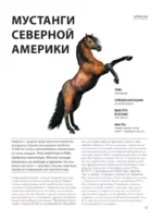 Лошади — изображение 14